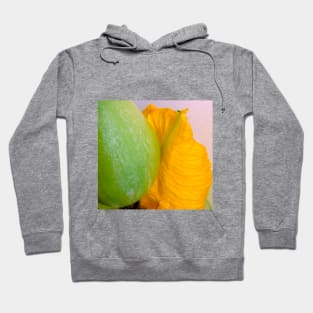 Pumpkin Blossom & Fruit Hoodie